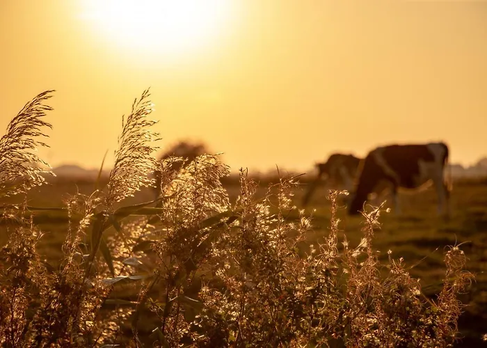 Leichte Brise Apartament